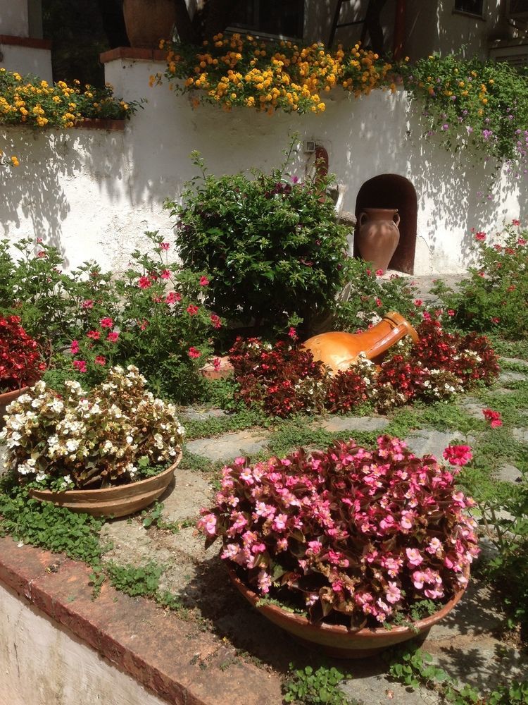 Mediterraneo Bed & Breakfast Anacapri  Exterior foto