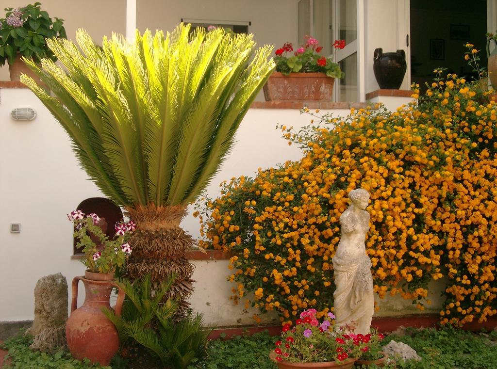 Mediterraneo Bed & Breakfast Anacapri  Exterior foto