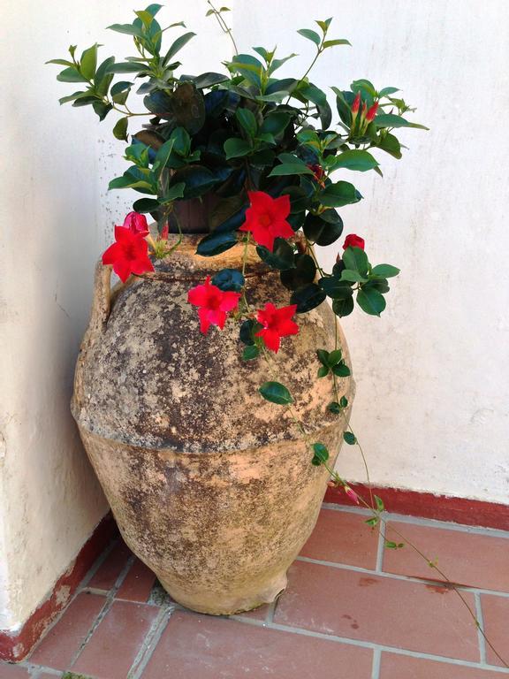 Mediterraneo Bed & Breakfast Anacapri  Exterior foto