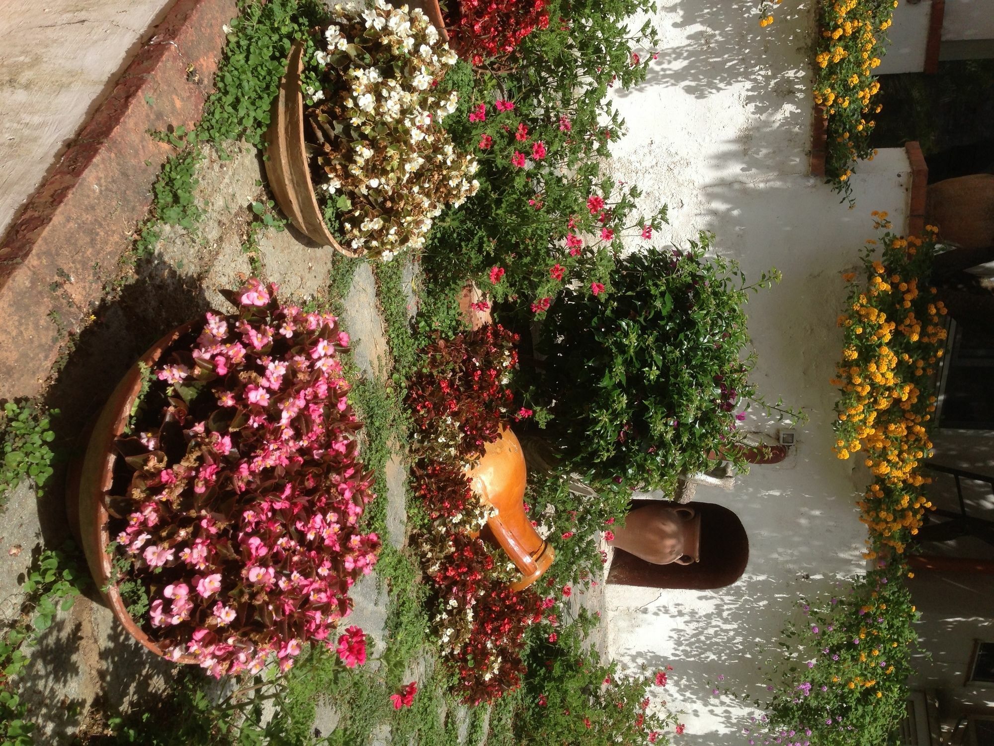 Mediterraneo Bed & Breakfast Anacapri  Exterior foto