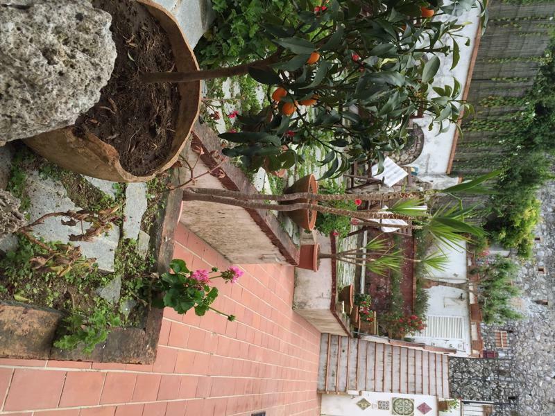 Mediterraneo Bed & Breakfast Anacapri  Exterior foto