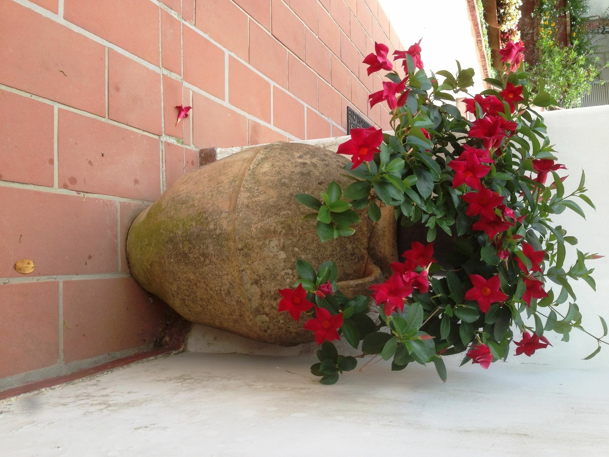 Mediterraneo Bed & Breakfast Anacapri  Exterior foto
